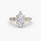 The Graduated Accent Ring